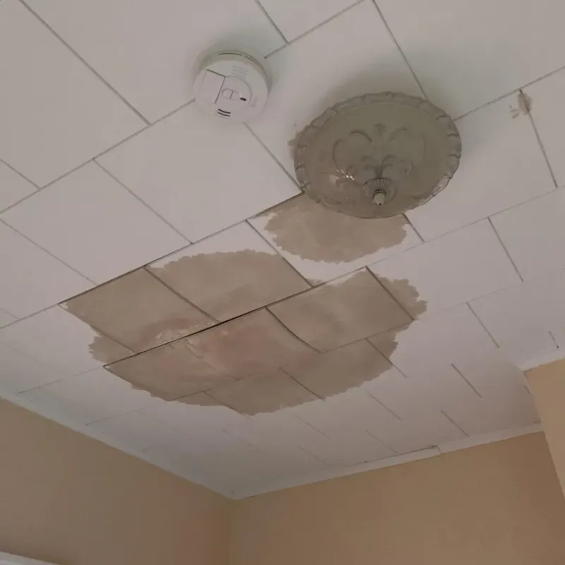 Ceiling Water Damage Repair in Petersburg, VA