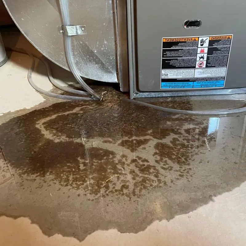 Pipe Burst and Leak Restoration in Petersburg, VA
