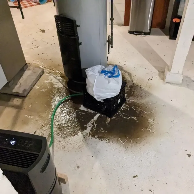 Sewage Backup Cleanup Service in Petersburg, VA